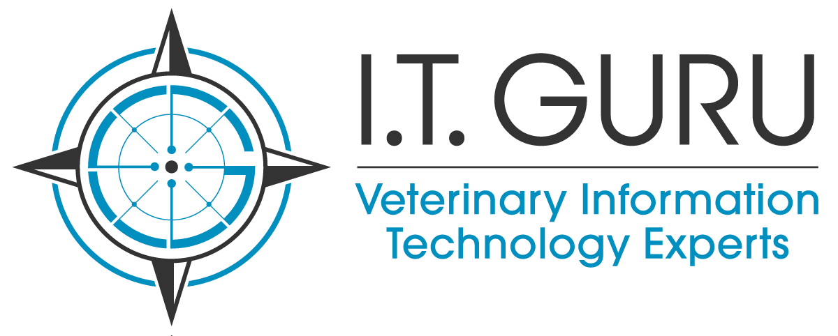 I.T. Guru Logo